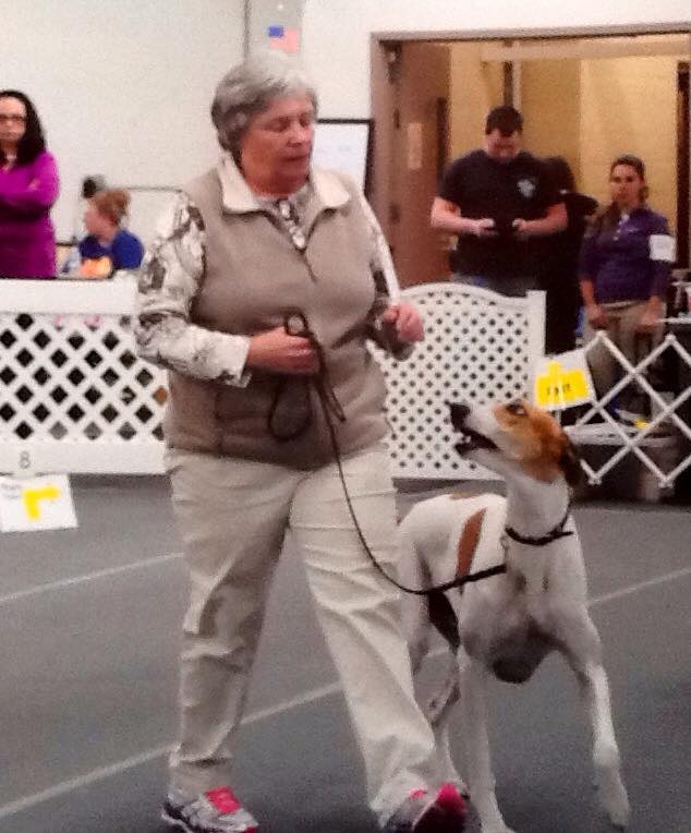 Rio 201703 Rally Greyhound Club Of America